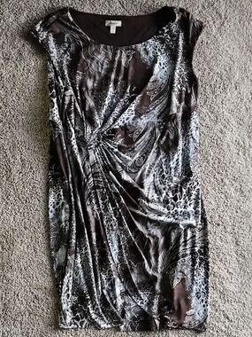 Women’s Brown and Blue Printed Ruched Dress